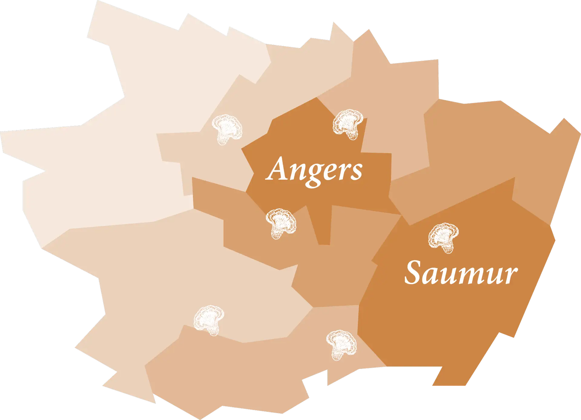 Carte des zones à risque de mérule en Maine-et-Loire