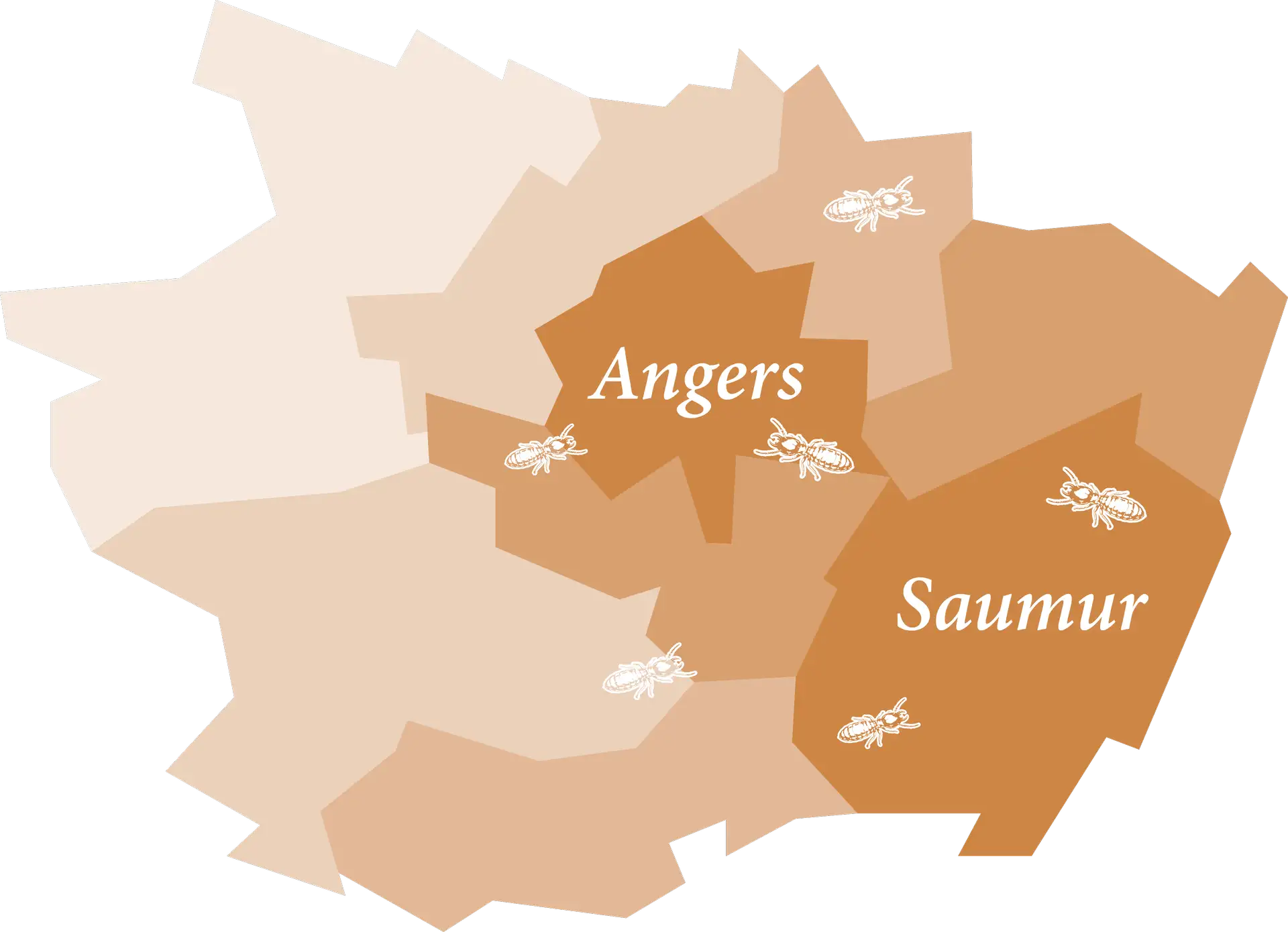 Carte du Maine-et-Loire, zone d'intervention TCB en Anjou