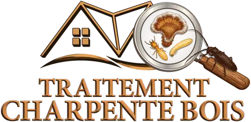Traitement Charpente Bois - Spécialiste termites et mérule en Anjou