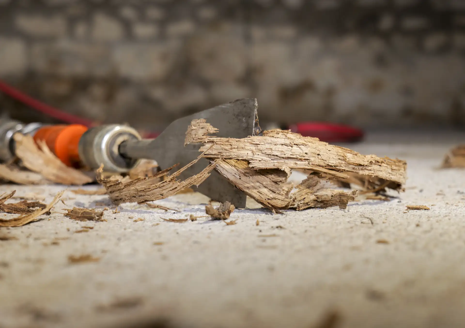 Copeaux de bois vermoulu retirés par bûchage pneumatique à Angers