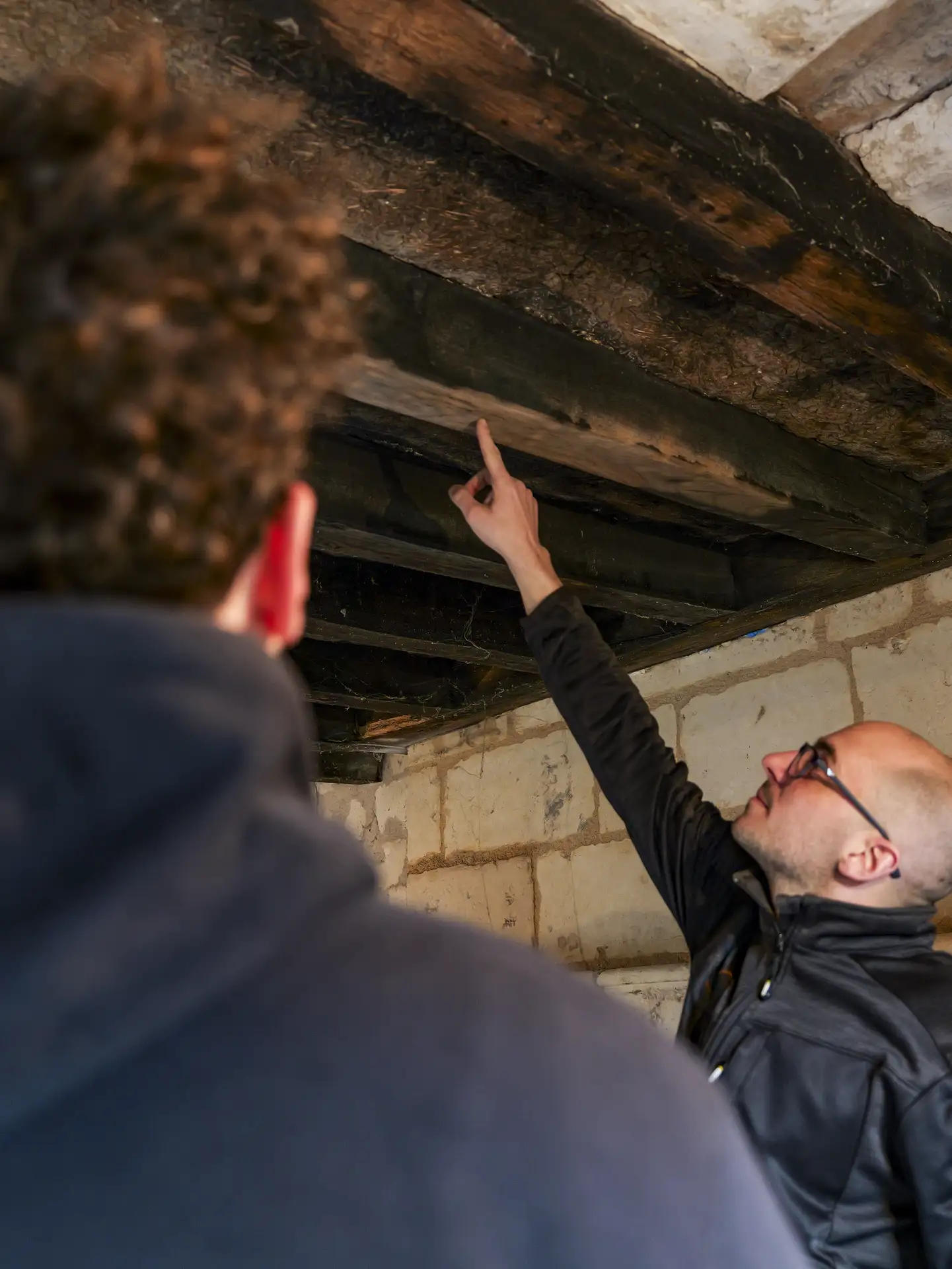 Diagnostic termites sur charpente ancienne en Anjou