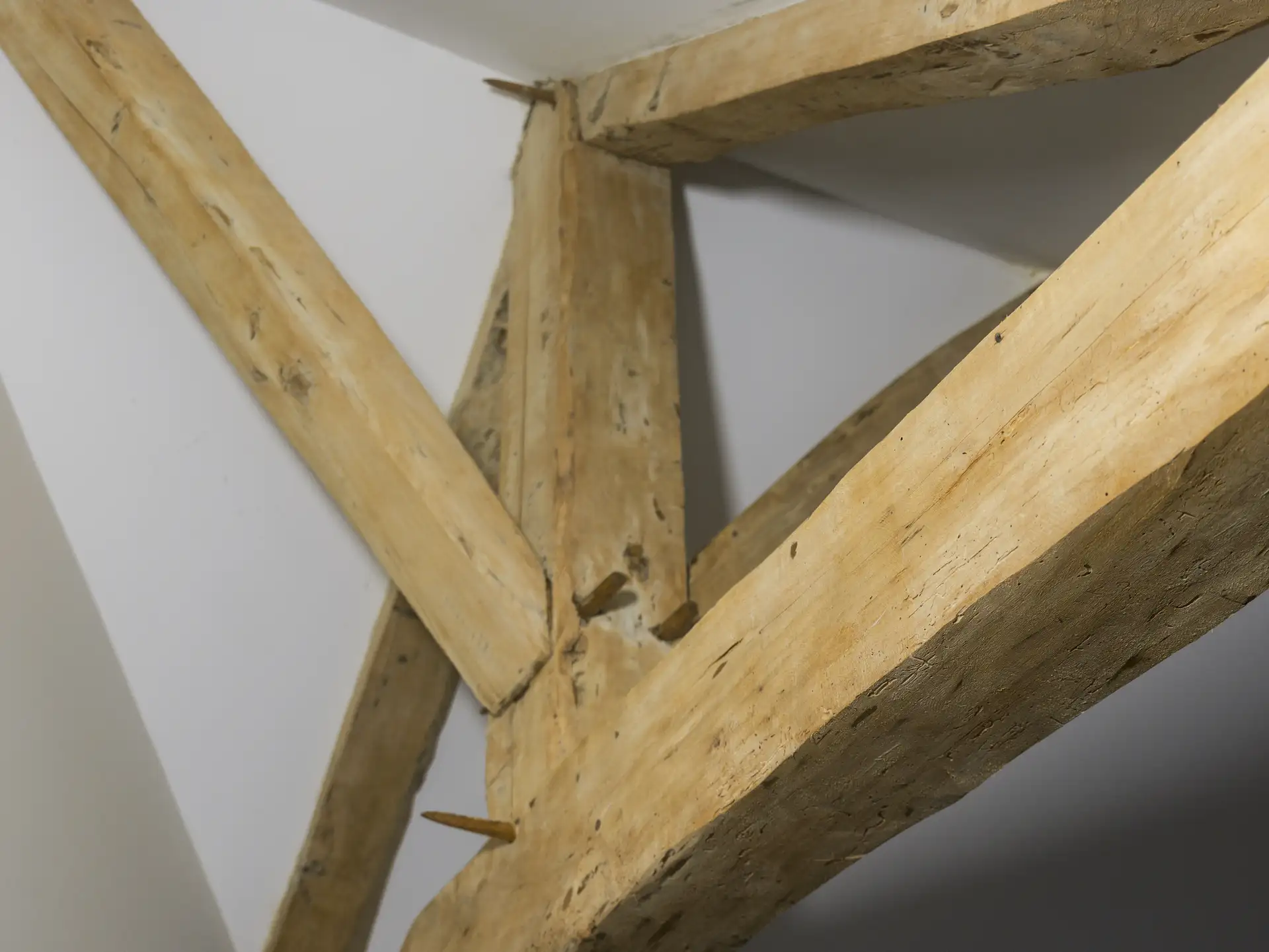 Assemblage de charpente en bois traité anti-termites à Angers