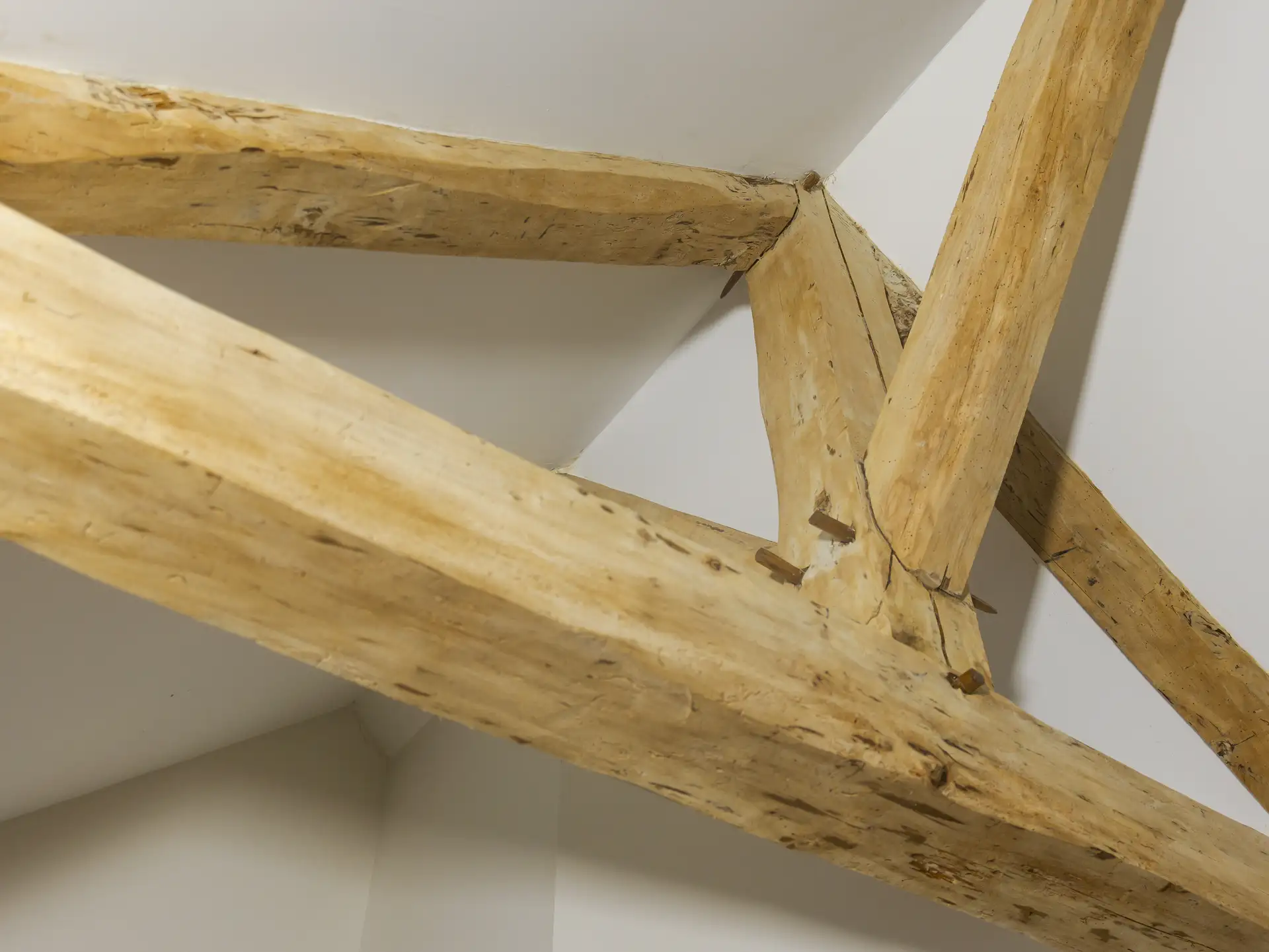 Charpente traitée contre les termites dans une maison ancienne en Anjou